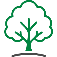 ícono de árbol